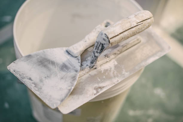 Best Emergency Mold Remediation  in Lodi, NJ
