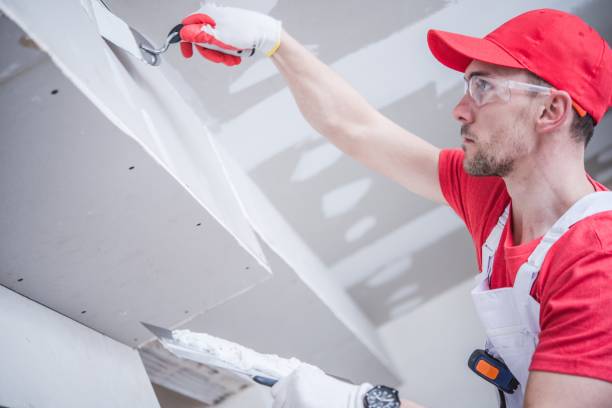 Best Residential Mold Inspection & Testing  in Lodi, NJ